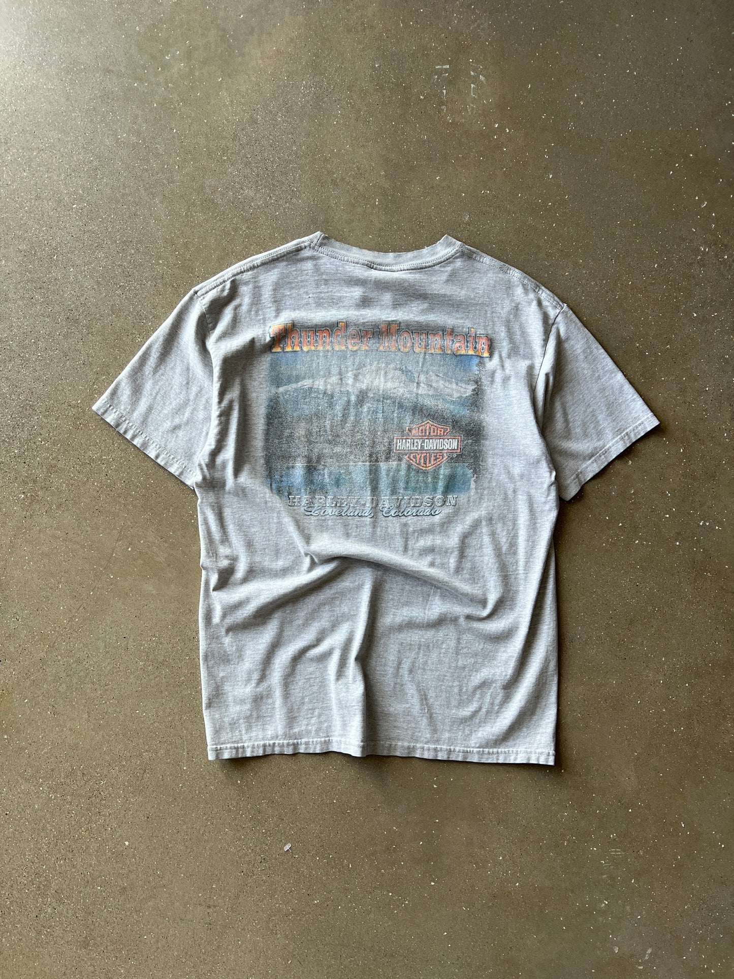Vintage Grey Harley Davidson Shirt - L