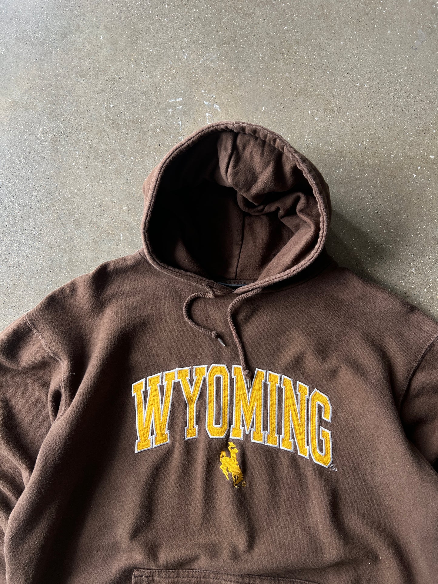 Vintage Brown Wyoming Hoodie - M