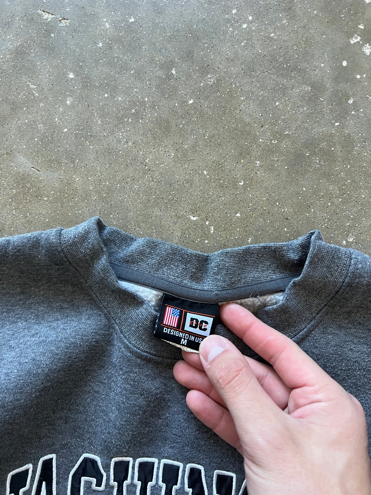 Vintage Grey Washington DC Crew - S