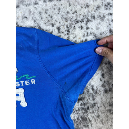 Y2k Hollister Co Blue Embroidered T-shirt - L