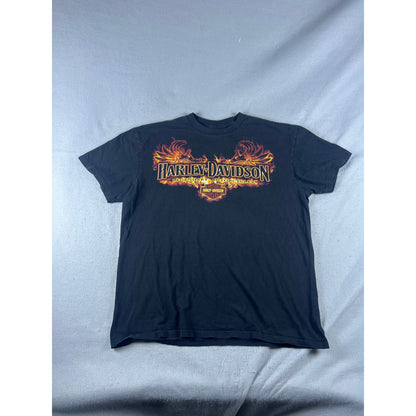 Harley Davidson Flame Skull T-Shirt Set - XL