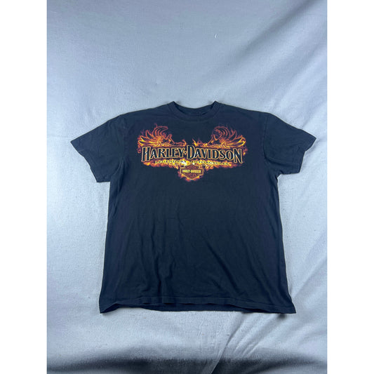 Harley Davidson Flame Skull T-Shirt Set - XL