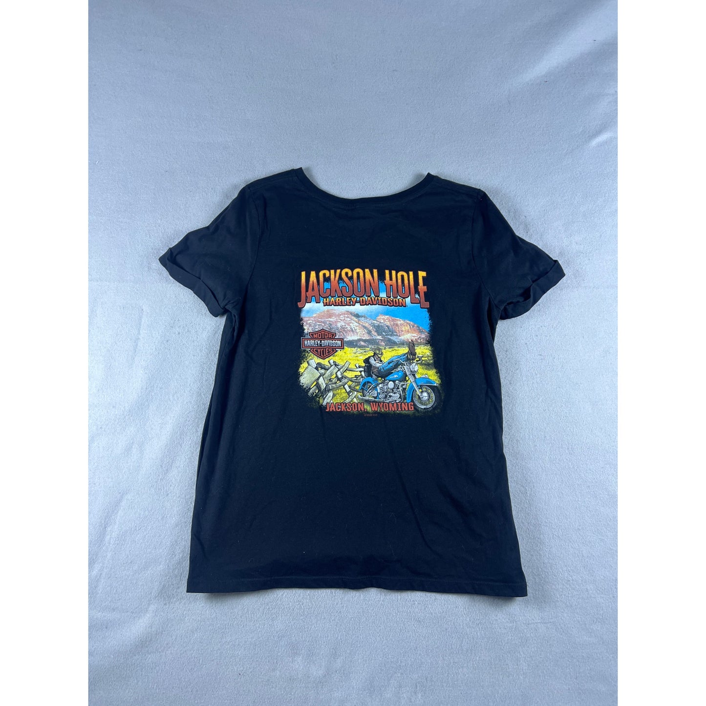 Harley-Davidson Jackson Hole T-Shirt Womens - XL