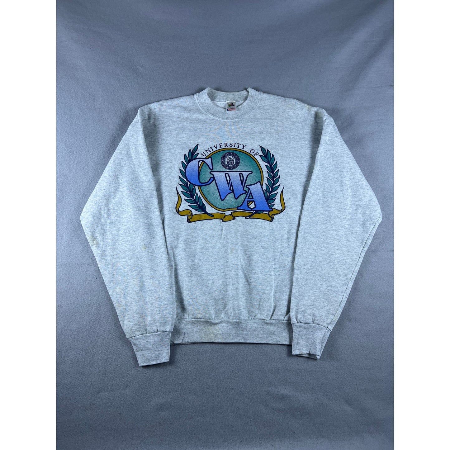 Vintage 90s University of CWA Sweatshirt - XL