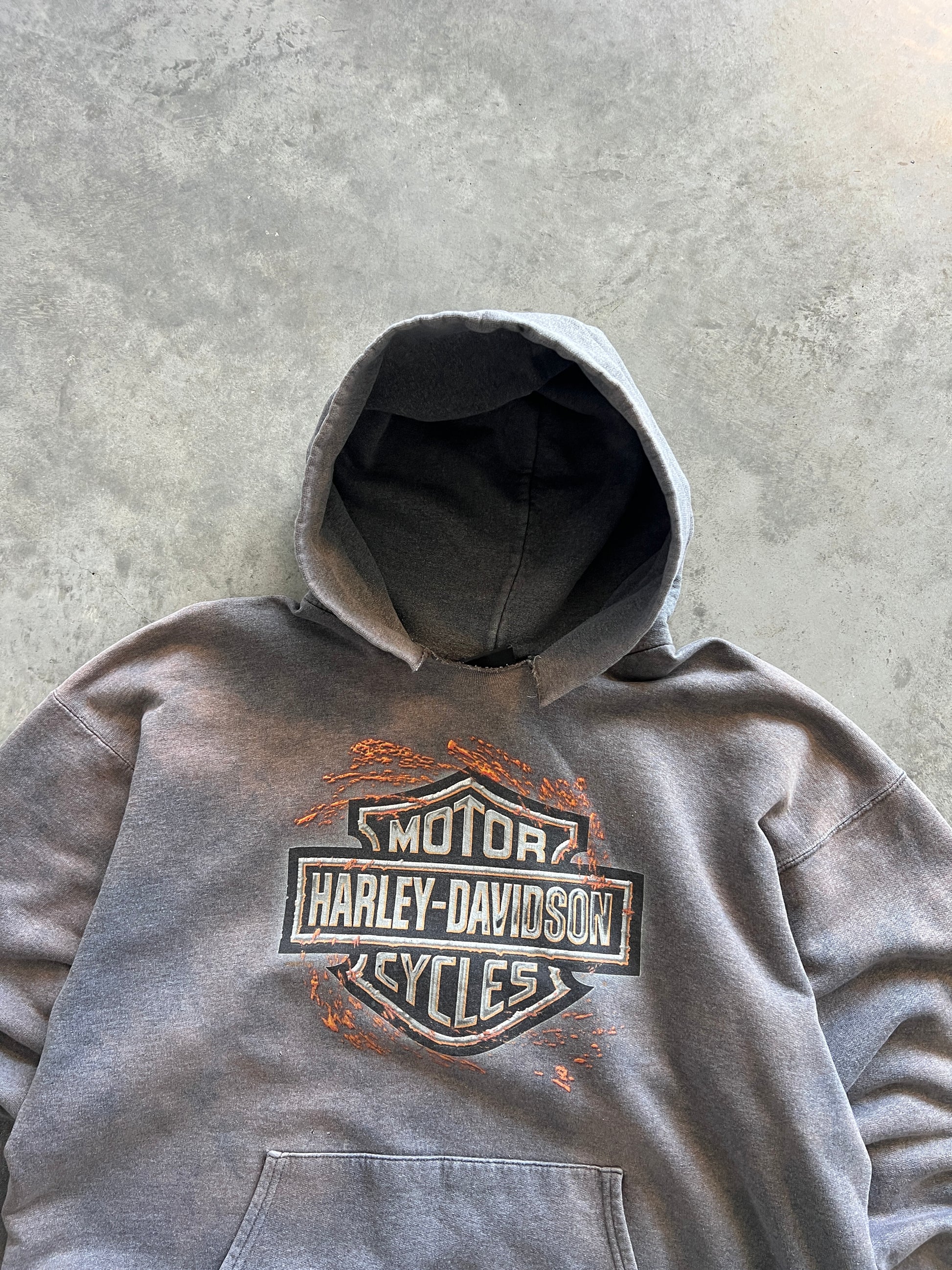Vintage Sun-Faded Harley Davidson Hoodie - L