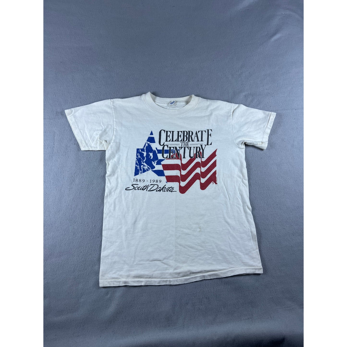 Vintage South Dakota Centennial T-Shirt - M