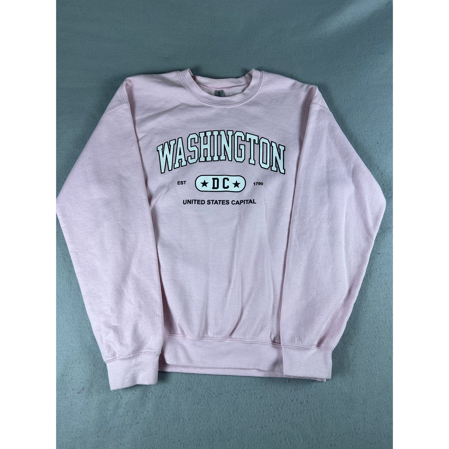 Washington DC Spellout Sweatshirt - L