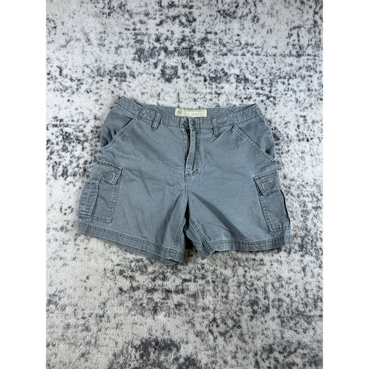Vintage American Eagle Low Rise Canvas Shorts - 12