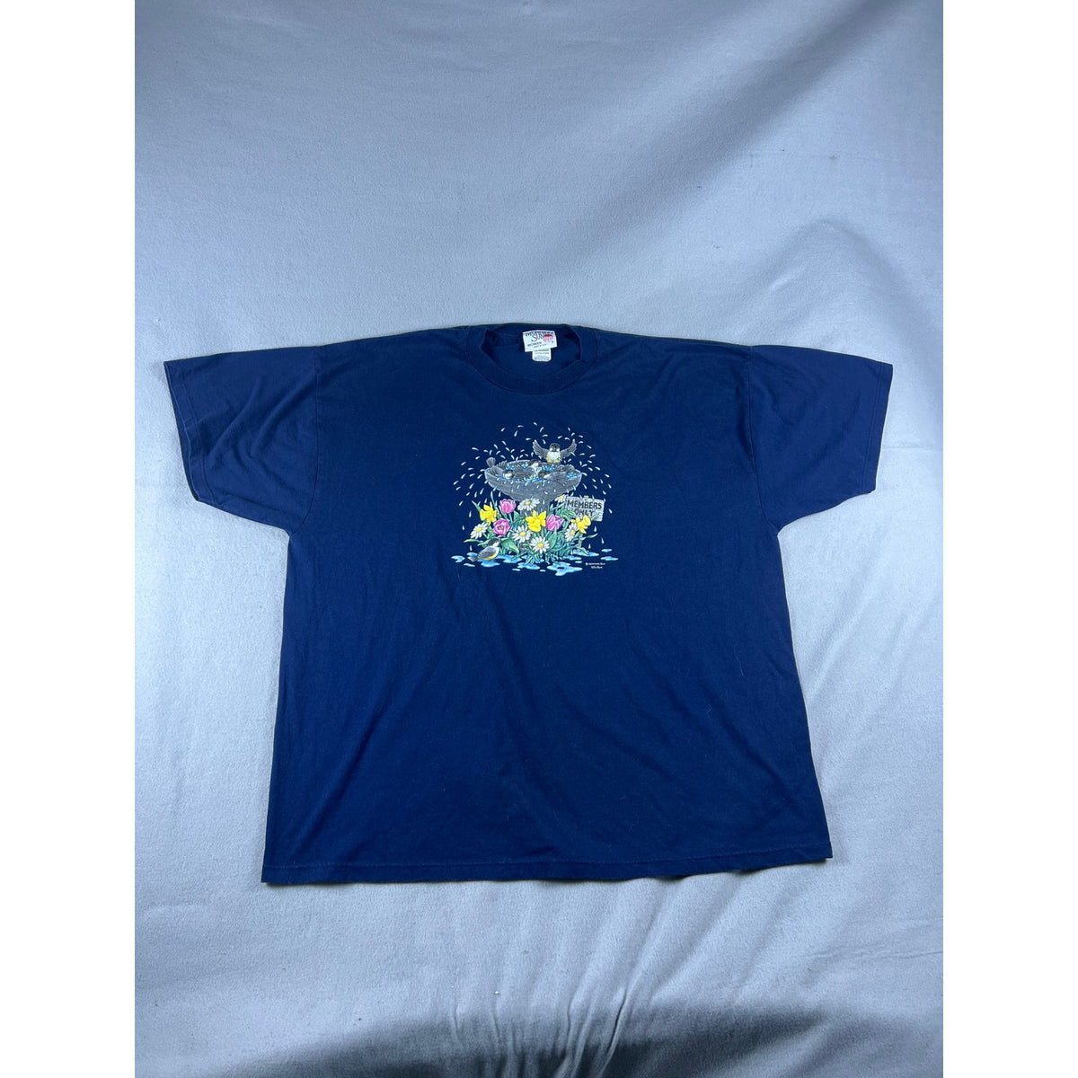 Vintage Morning Sun Birds Bath T-Shirt Womens - 3XL
