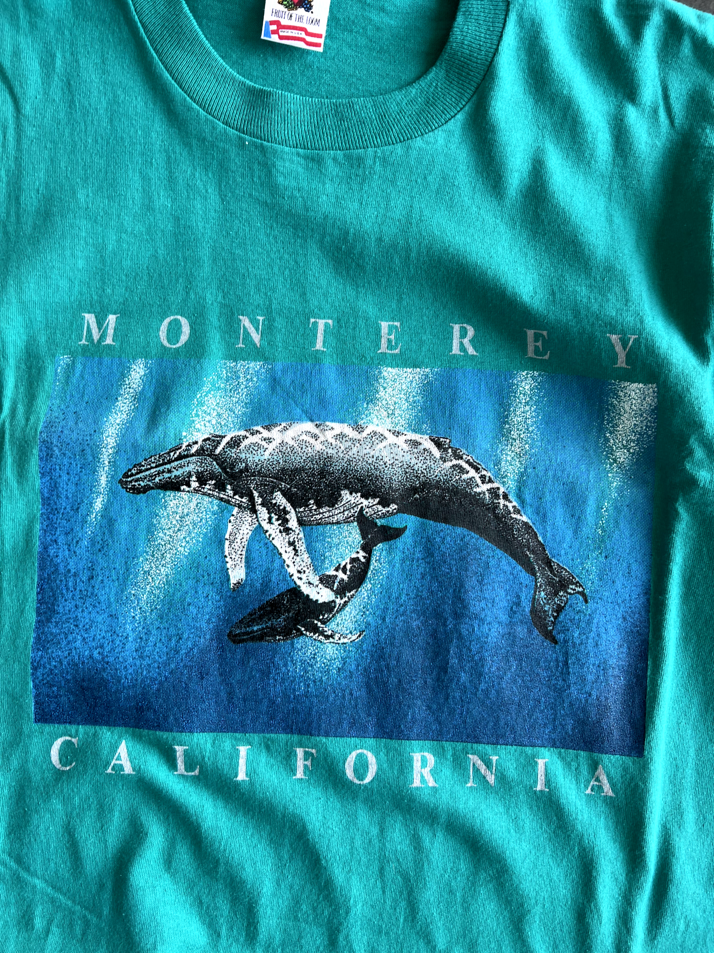 Vintage Teal California Graphic - L