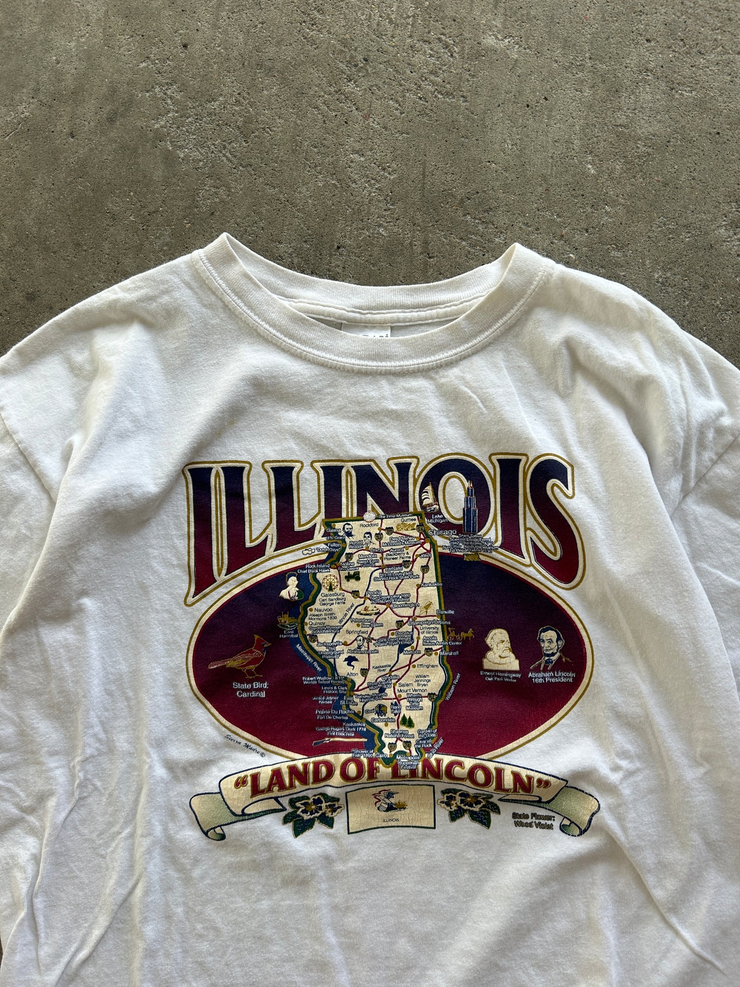 Vintage Illinois Shirt - L