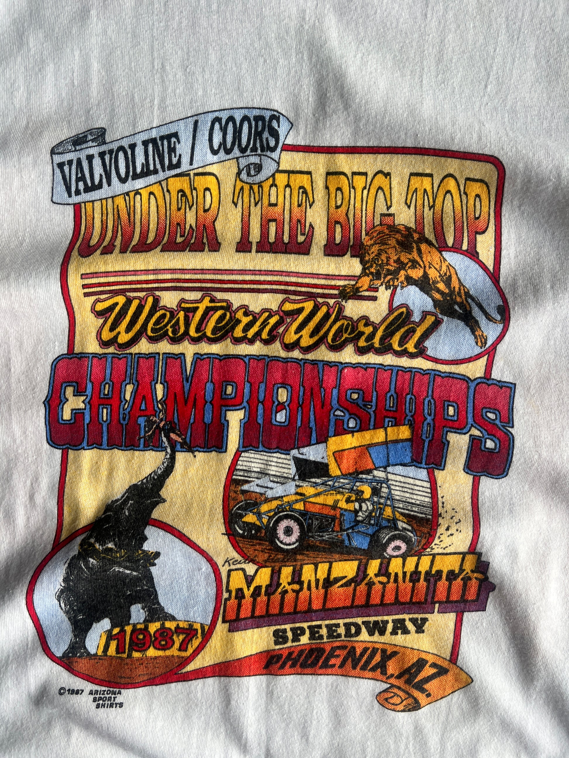 Vintage 1987 Stock Champtionship Shirt - L