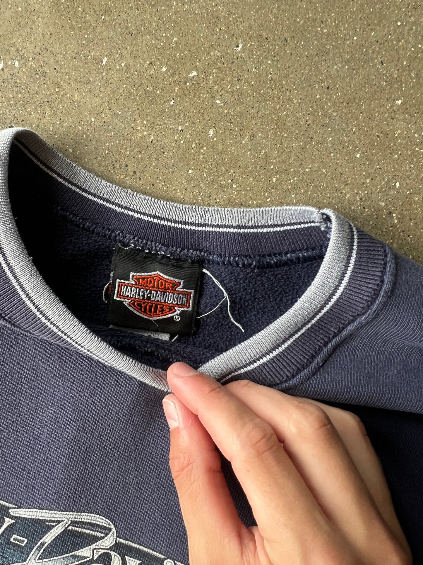 Vintage Purple Blue Harley Davidson Crew - L