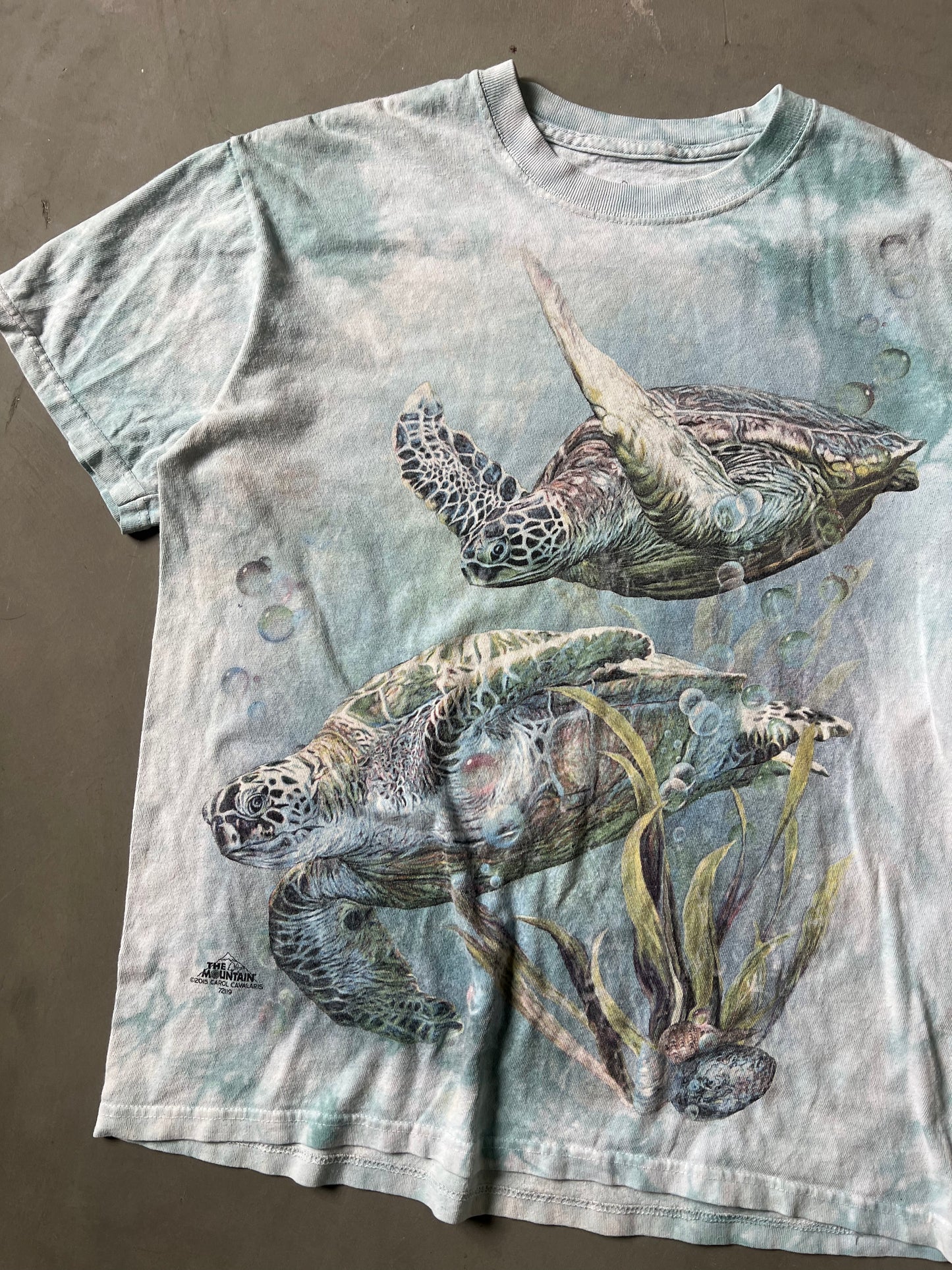 Vintage Sea Turtle The Mountain Tee - M