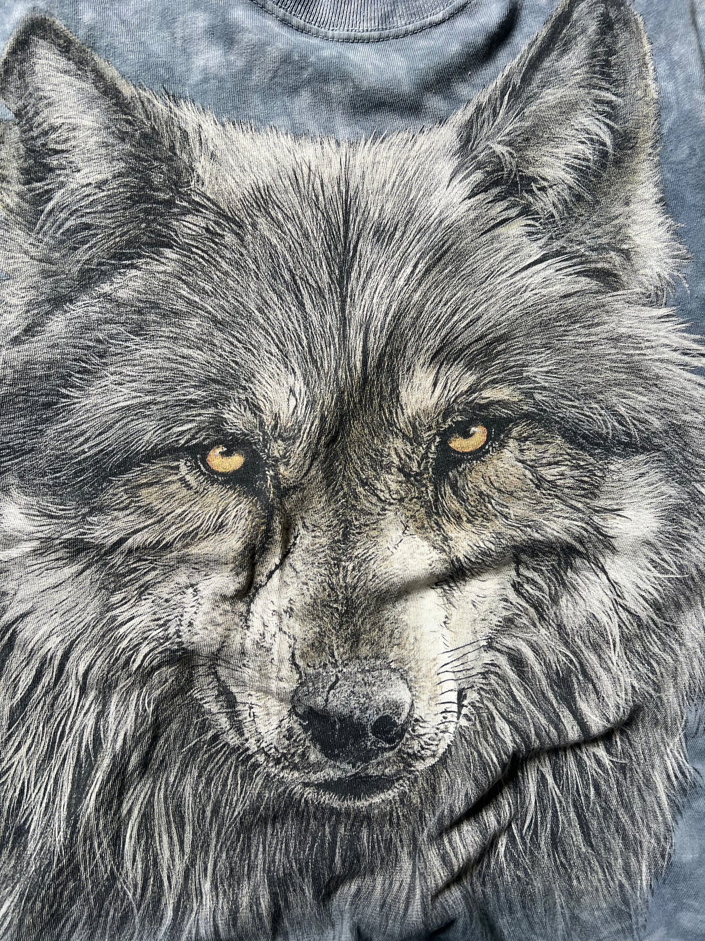 Vintage Blue Wolf The Mountain Tee - M
