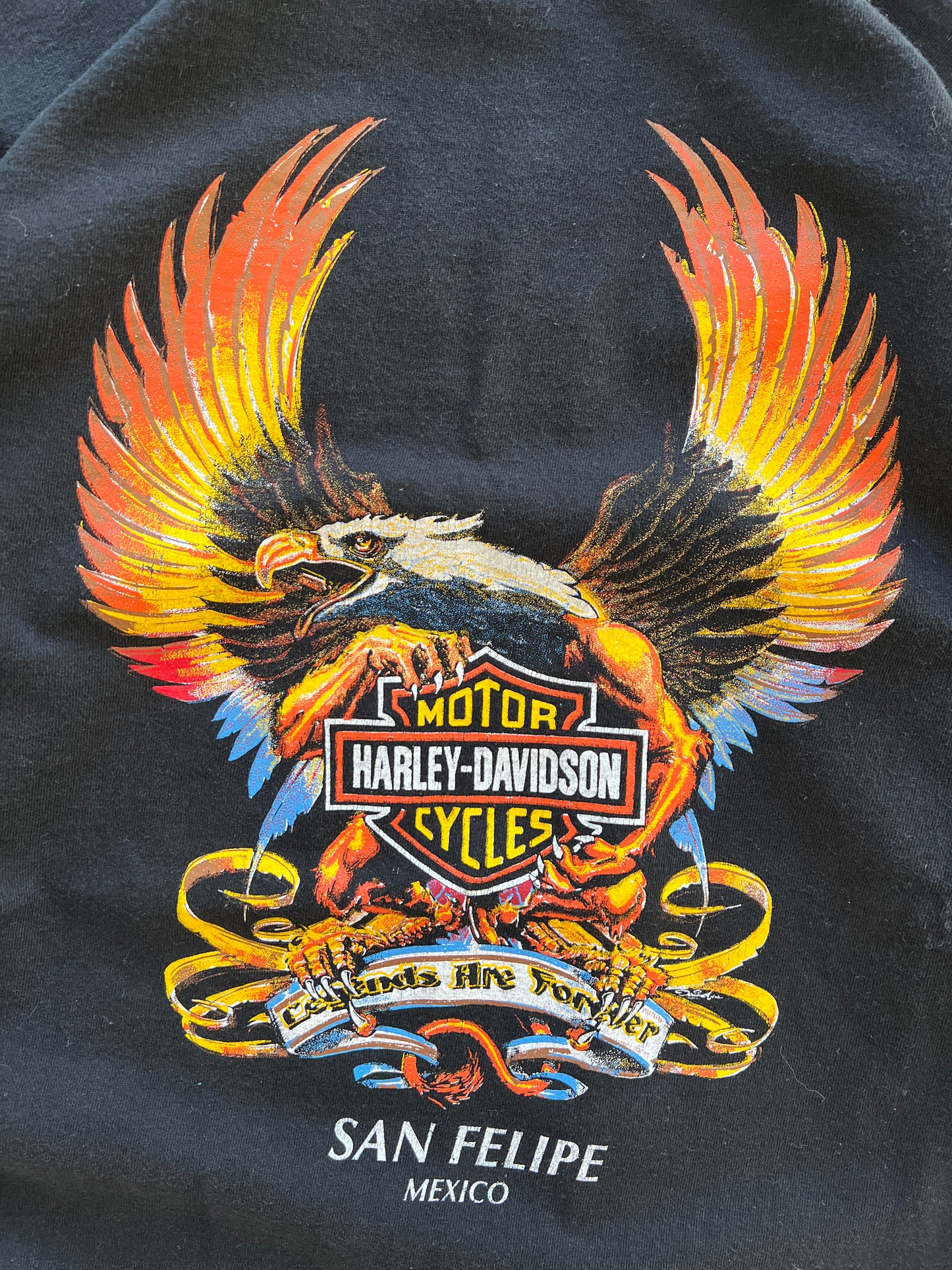 Vintage Harley Davidson Long Sleeve - M