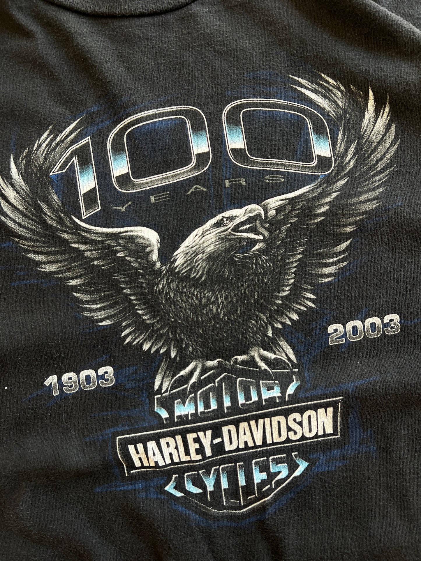 Vintage 100 Years Harley Davidson Shirt - XL