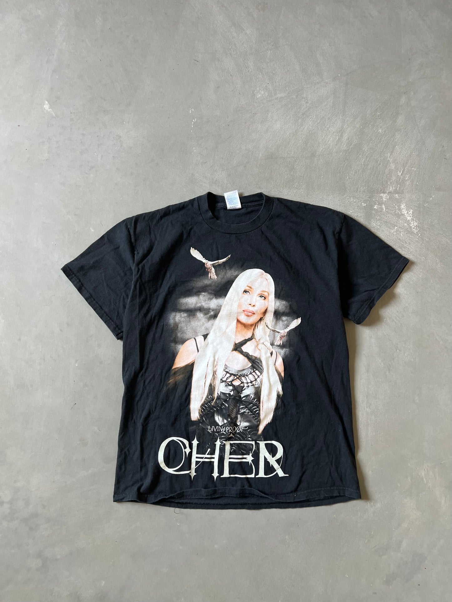 Vintage 2004 Cher Tour Tee - L