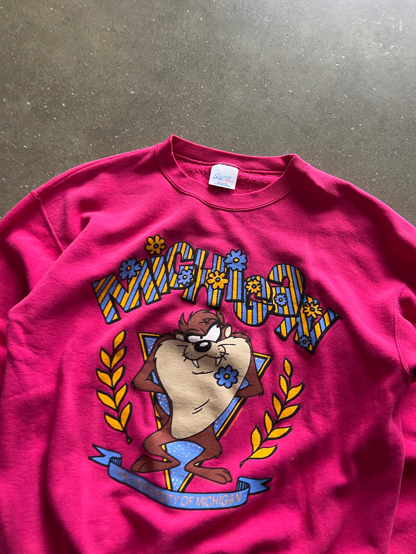 Vintage Pink Taz Graphic Crew - L