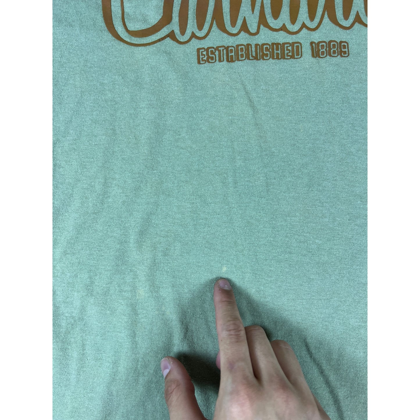Carhartt Green Graphic Spellout Tee - XS