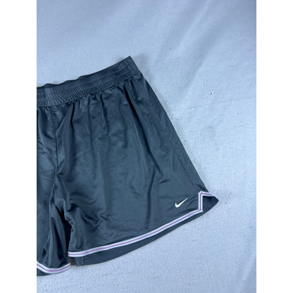 Nike Dri-FIT Training Shorts Womens - 2X