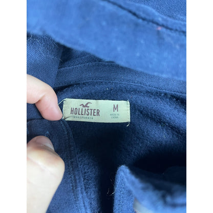 Y2K Hollister Heavyweight Hoodie Womens - M