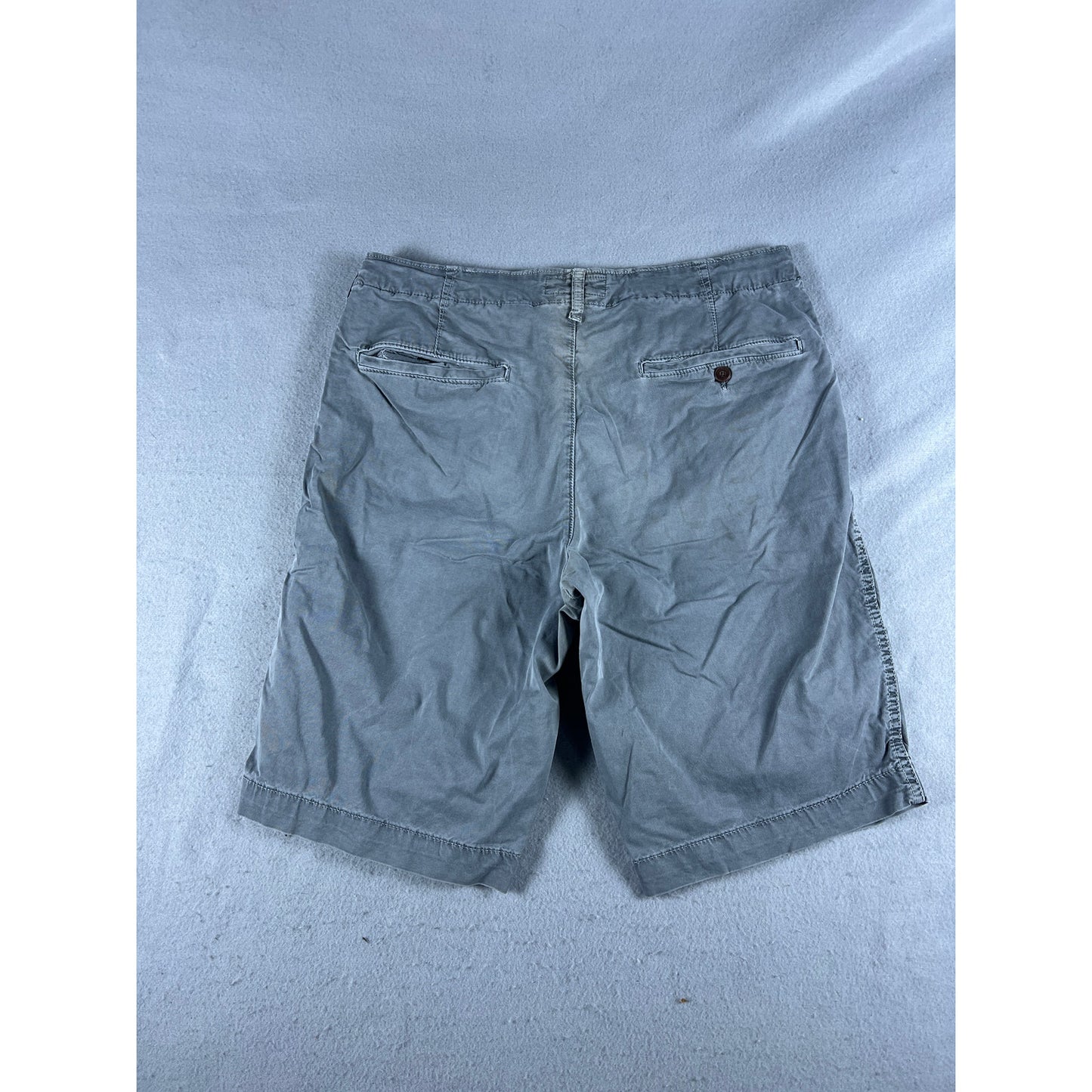 American Eagle Next Level Flex Shorts - 34