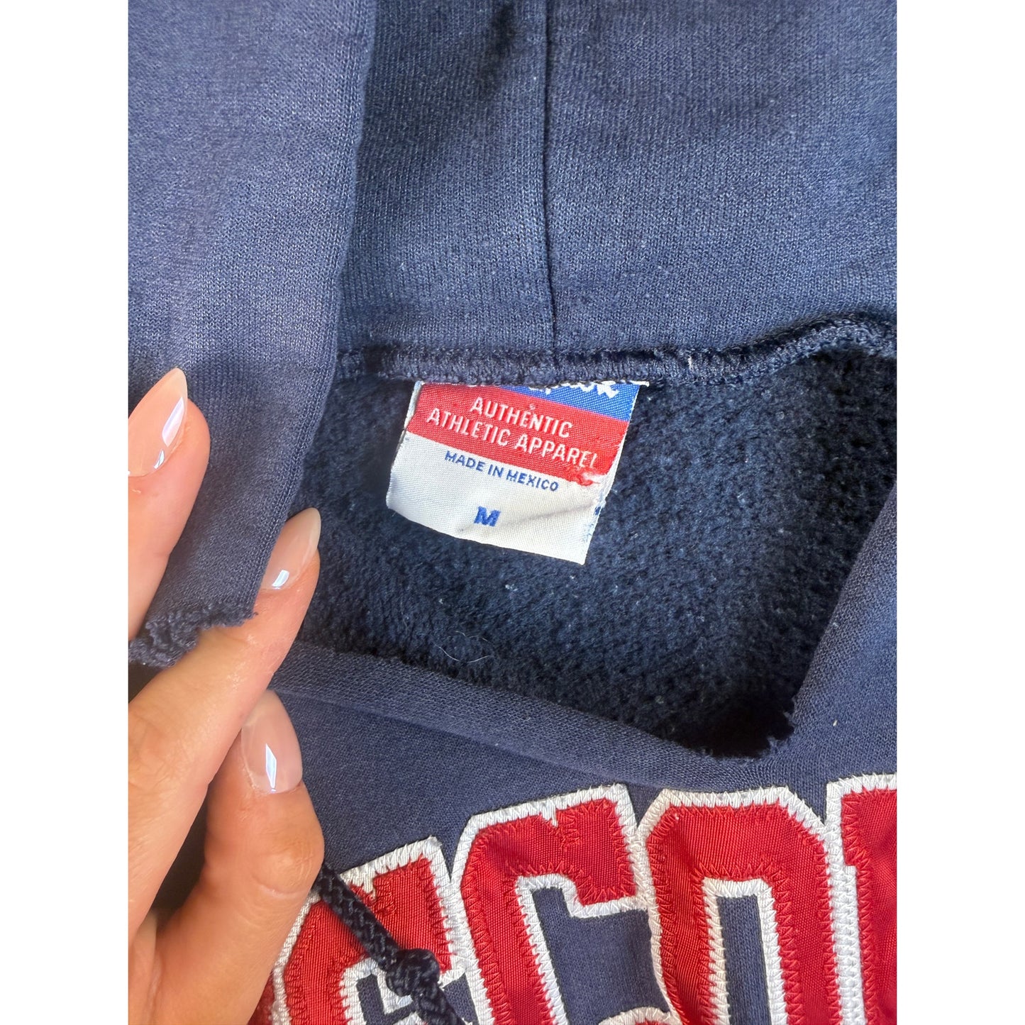 Champion Spellout Wisconsin Hoodie - M